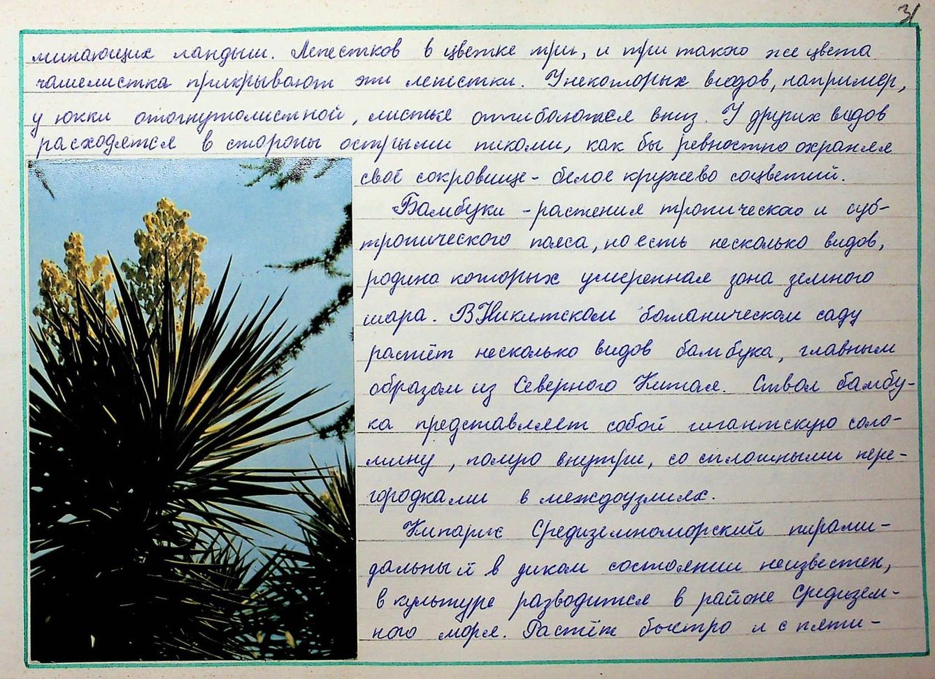 Illustration