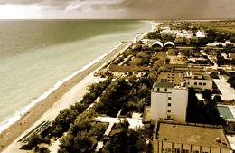 Саки: широкий степ, велика хімія, давні тварини