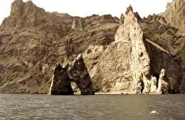 Про гадів: морських, сухопутних та тих, що від пропаганди